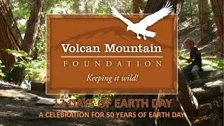 Volcan Mountain Foundation's 