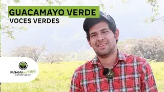 Voces Verdes Entrevista a Carlos Vigil  - Ara Panama