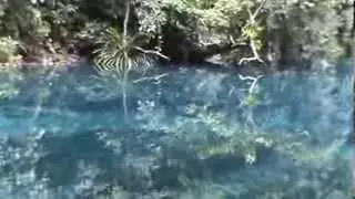 Riri River blue hole: Espiritu Santo, Vanuatu