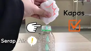 Eksperimen Sains Mudah : Objek Menyerap Air | Tadika | Sekolah