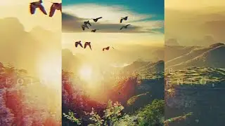 @FotosemMovimento Interstellar/Dorian Marko - Tema