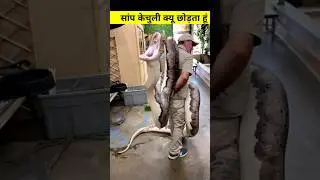 सांप केचुली क्यों छोड़ता है #shorts #short #shortsvideo
