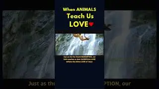 When ANIMALS Teach Us LOVE 🥹♥️ #shorts #youtubeshorts #love #jesus #sacrifice #fypシ