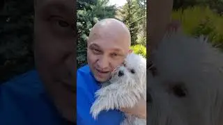 Мальтеза Бублик приехал на осмотр  Zoovetdoctor @zoovetdoctor