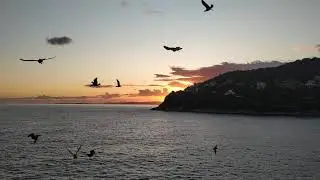 Cote Azur