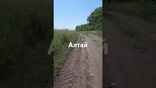 27 июня 2024 г.