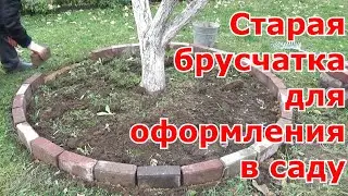 Tree trunk edging using paving stones. An economical and practical garden design.