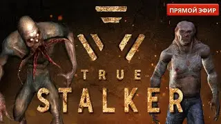 STALKER ☢️True Stalker [5] Нашли 