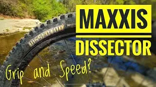 Maxxis Dissector Review - Grip and Speed?