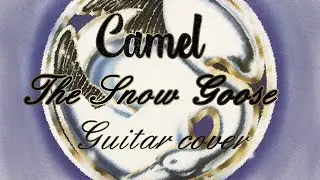 Camel - The Snow Goose - Guitar cover