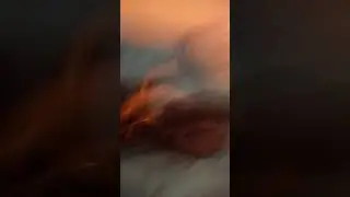Киса