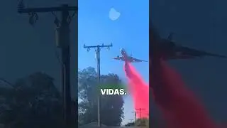 VIU ISSO? CORRE! #interessante #curiosidade #curiosidades