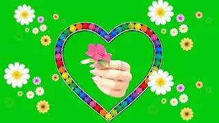 Flowers green screen effects rose green screen effects rose