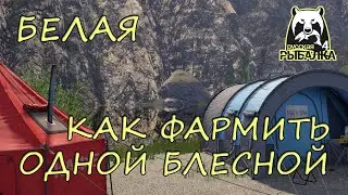 Русская рыбалка 4. Белая. Фарм. Хариус. Спиннинг. Вертушки.
