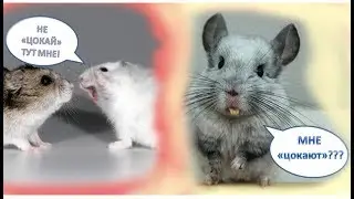 Почему лучше НЕ 