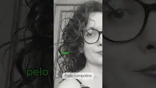 THAÍS CAMPOLINA, entre territórios