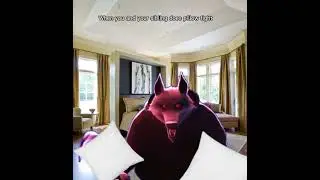 When Siblings have a pillow fight