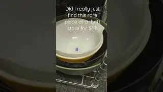A Rare Collector's Item at a Thrift Store for $6?!! 