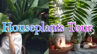 Houseplants Tour with Brinda#Grow Green Episode 2