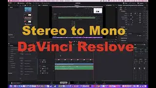 DaVinci Resolve Stereo to Mono Audio