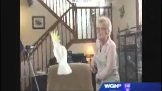 Irena and Snowball(R) on WGN-TV News