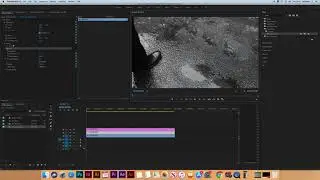 Pen tool Adobe Premiere