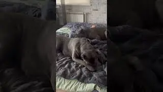 Лежбище котиков❤️