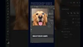 Pet Eye Problems Solved! Photoshop Tutorial with Clone Source