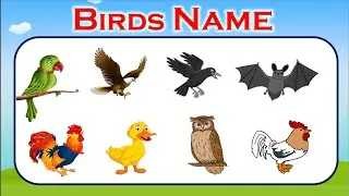 BIRDS NAME WITH SPELLING | Birds name in English | 15 birds name | पक्षियों के नाम | name of birds