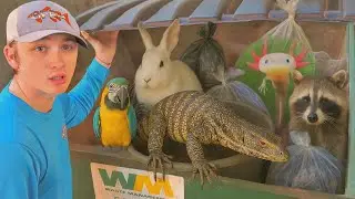 Aku Nemuin Hewan Hidup di Tempat Sampah Toko Hewan!