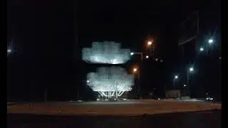 В Екабпилсе  выросла - Серебряная яблоня!