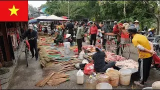 Life in Northern Vietnam 🇻🇳 | Vietnamese Markets & Local People (1 Hour)