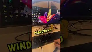 MINIMALIZOWANIE OKIEN cz.21 ""WIN+D"" #trick_na_PC #ytshorts #youtubeshorts #tricks #programista