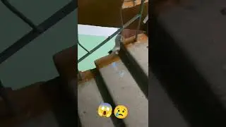 CUTE KITTEN DEAD? 😱🫣😩  #cute #cat #viral #shorts