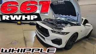 2024 Mustang GT Auto (DYNO WITH WHIPPLE STAGE 1) on 93 No Tricks straight up warranty kit