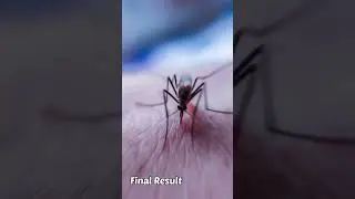 Wait For Macro Photo Of Mosquito#trending #trendingshorts #photooftheday #adcom #viralvideo #shorts