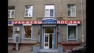 Свежая порция хорошего настроения 3