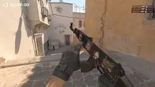 Ace 5HS on de dust2!