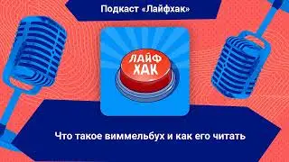Что такое виммельбух и как его читать