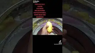BUILD A CHEAP AND EASY POTATO PEELER MACHINE. Orders also accepted.