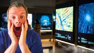 I Explored the Danish Natural History Museum, here is what i think!