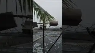 As carpas não sofre tanto saalada
