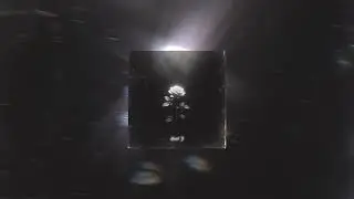 TØPRVK & Afira - About It