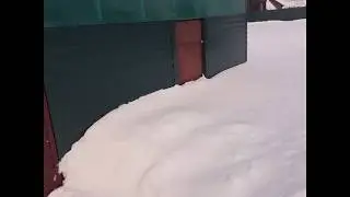 Зимовка на воле. Взгляд со стороны