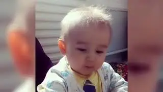 Ширинтойим мани
