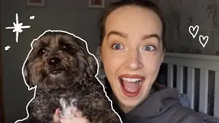 The Furry Friend Tag! ft. Mollie :) | Millie Ebony