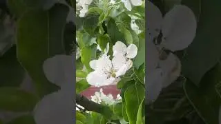 Запомните эту Истину.