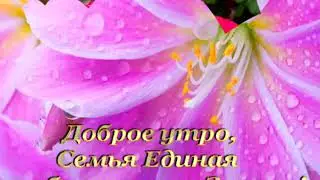 Доброе Утро Семья Единая!