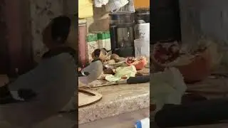 Зяблик и снегири
