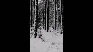 Svardun - Glacial Magic (2018) (Winter Synth)